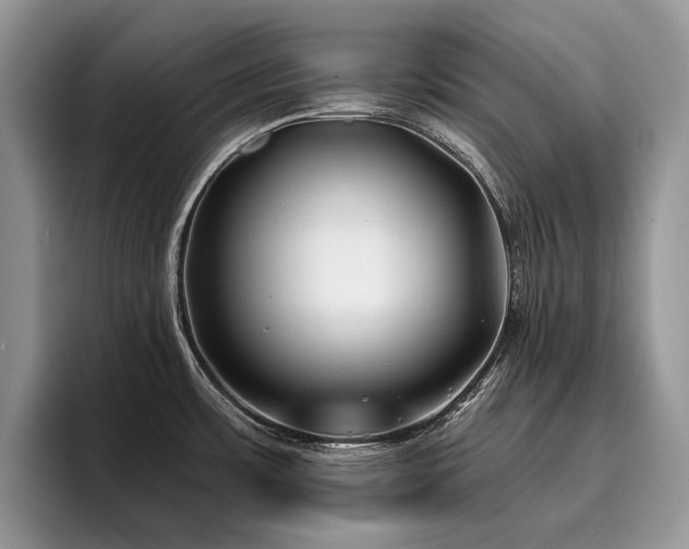 X0000096141483200801181123