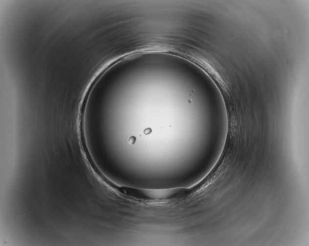 X0000096141484200801181123