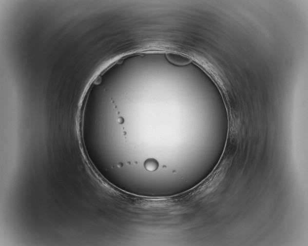 X0000096141486200801181123