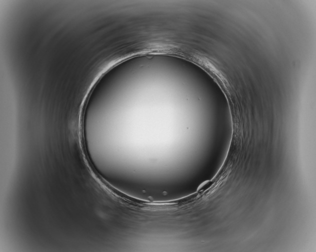X0000096141487200801181123