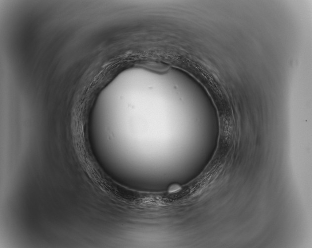 X0000096141489200801181122
