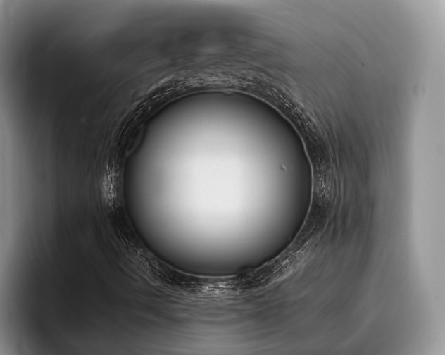 X0000096141490200801181122