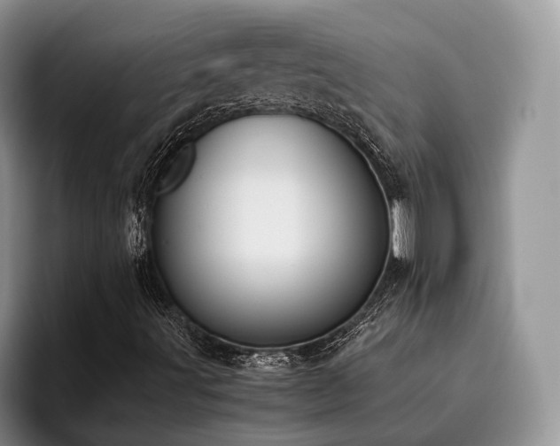X0000096141491200801181122
