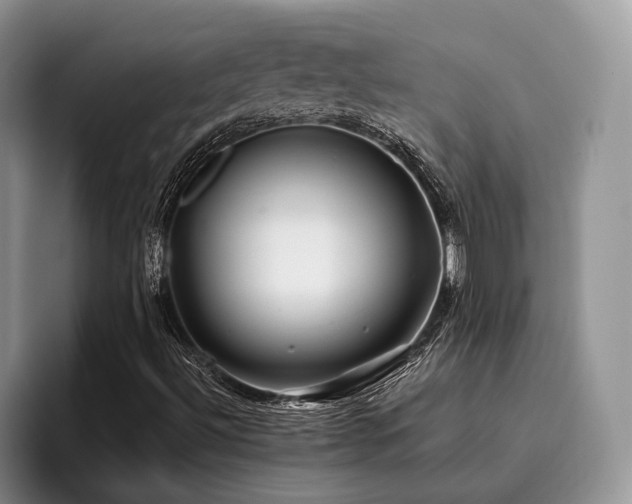 X0000096141492200801181122
