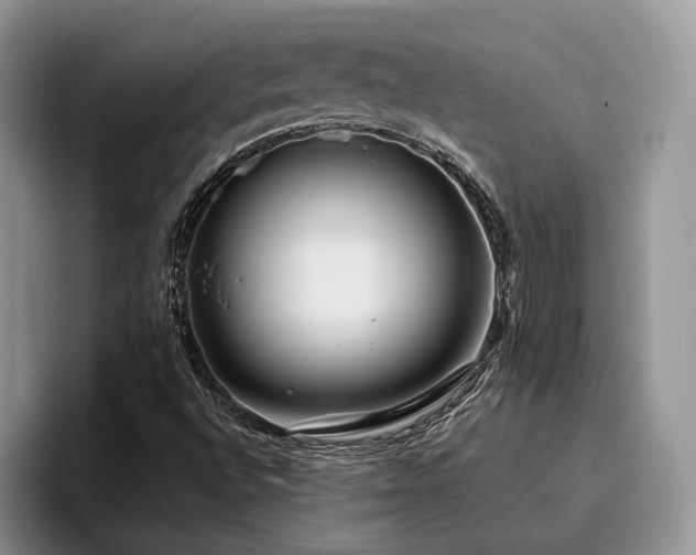 X0000096141496200801181122