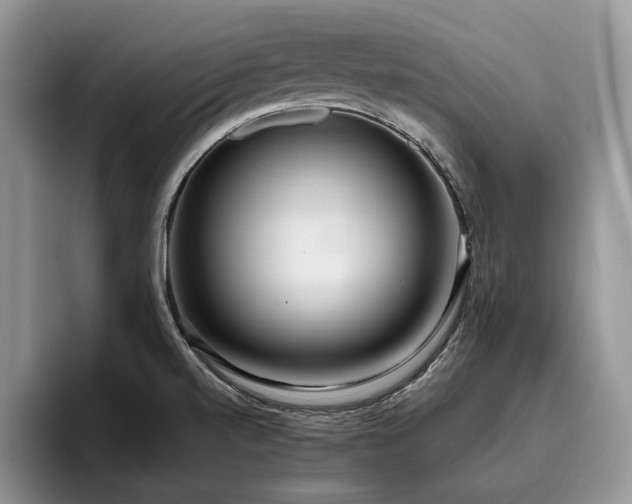 X0000096141520200801181122