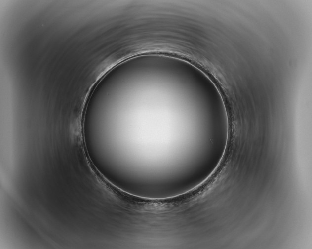 X0000096141521200801181122
