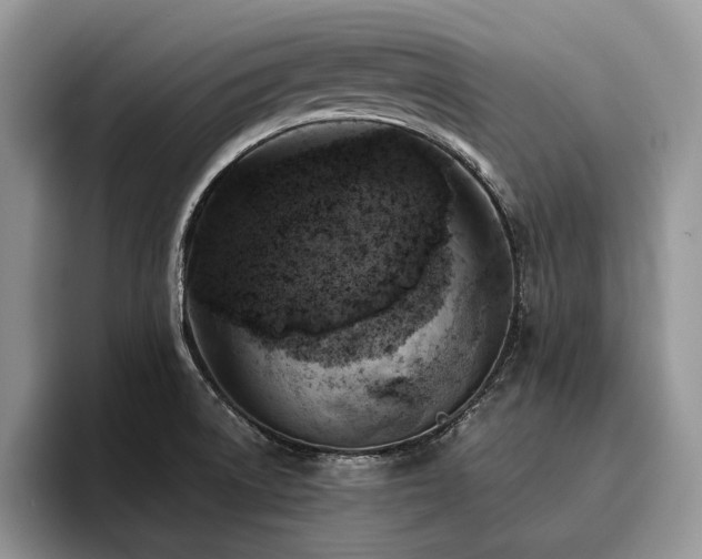X0000096141522200801181122