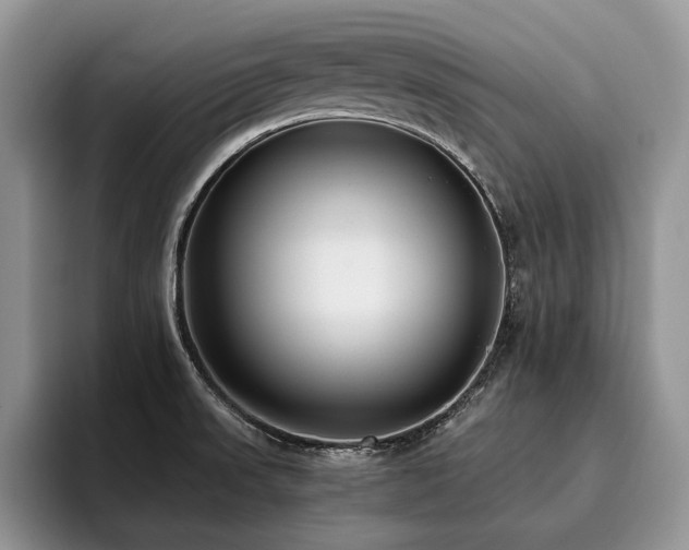 X0000096141523200801181122