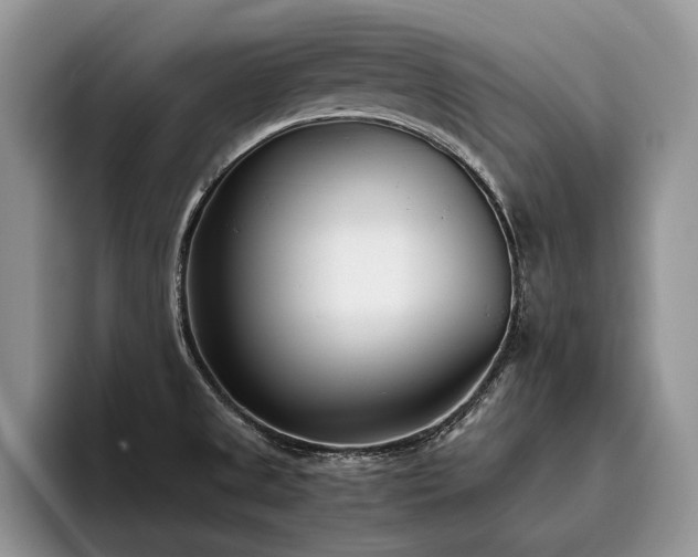 X0000096141525200801181122