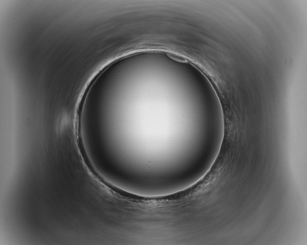 X0000096141527200801181122