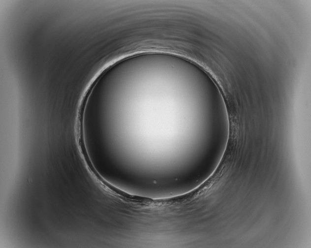 X0000096141531200801181122