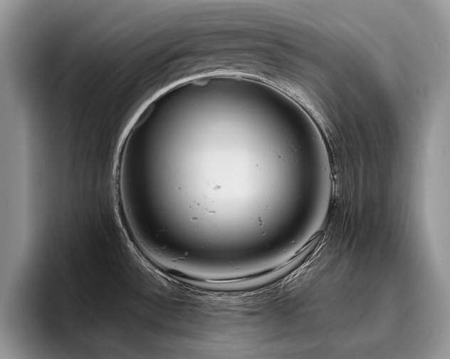 X0000096141532200801181122