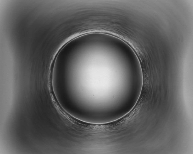 X0000096141534200801181122