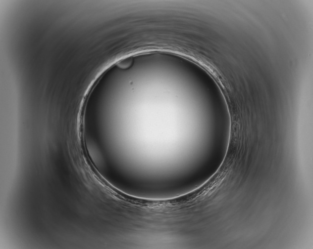 X0000096141535200801181122