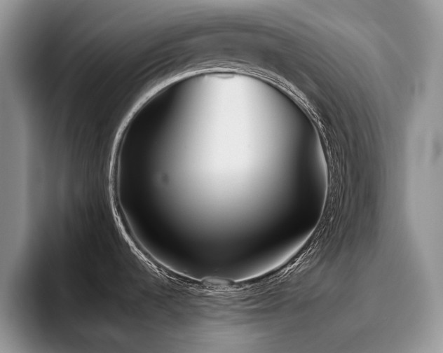 X0000096141536200801181122