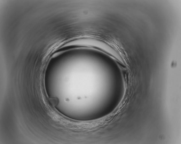X0000096140001200801251052