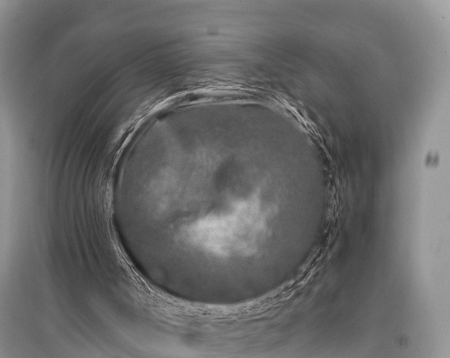 X0000096140002200801251052