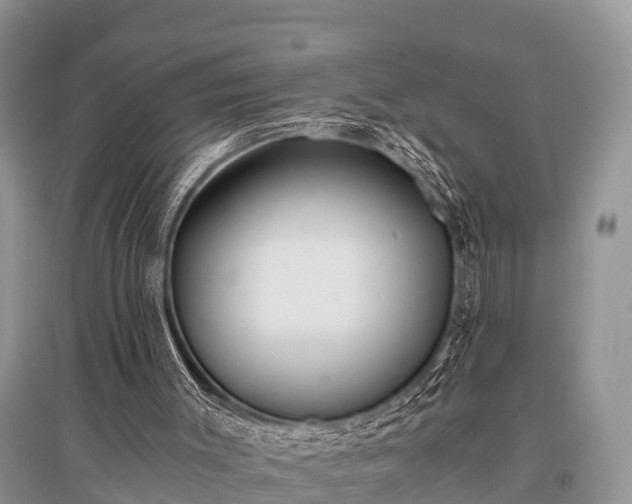 X0000096140003200801251052