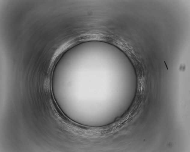 X0000096140004200801251052