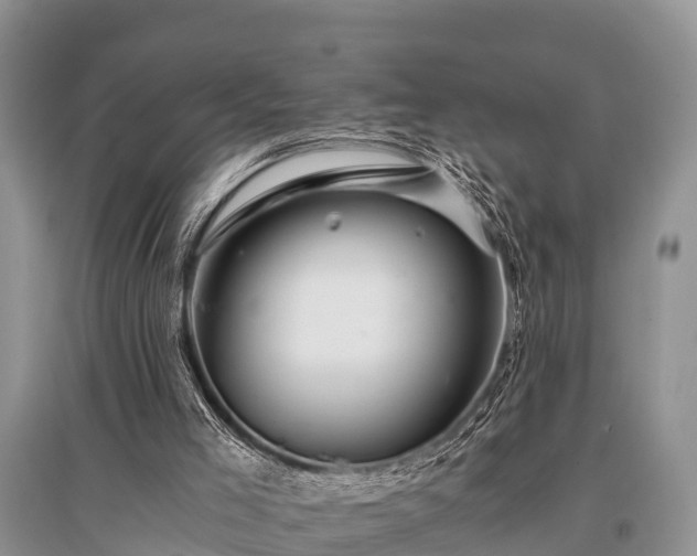 X0000096140005200801251052