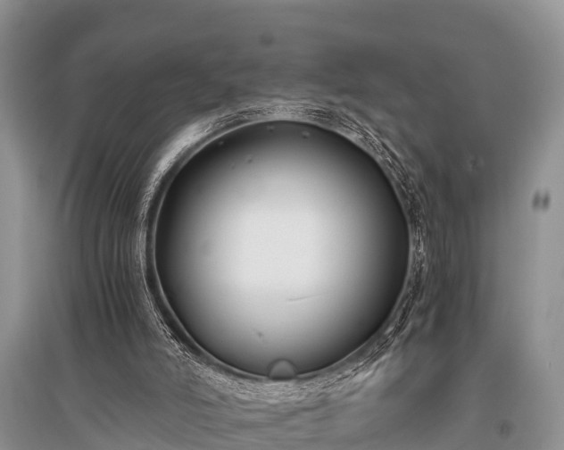 X0000096140006200801251052
