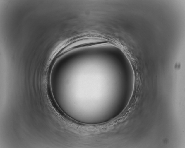 X0000096140007200801251052
