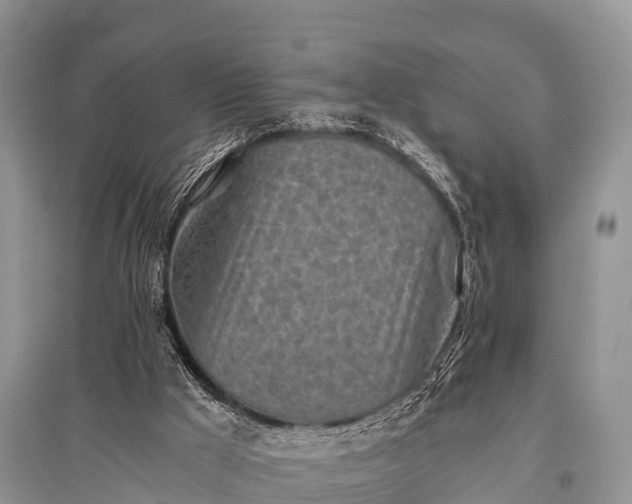 X0000096140009200801251052