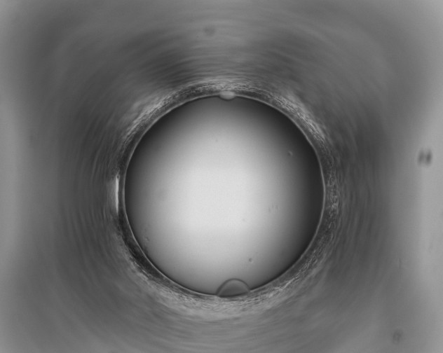 X0000096140014200801251052