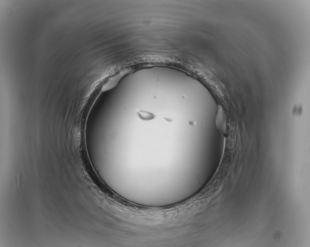 X0000096140015200801251052
