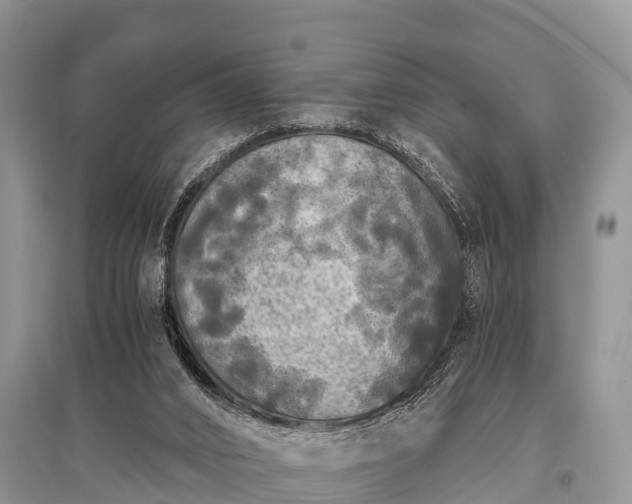 X0000096140016200801251052