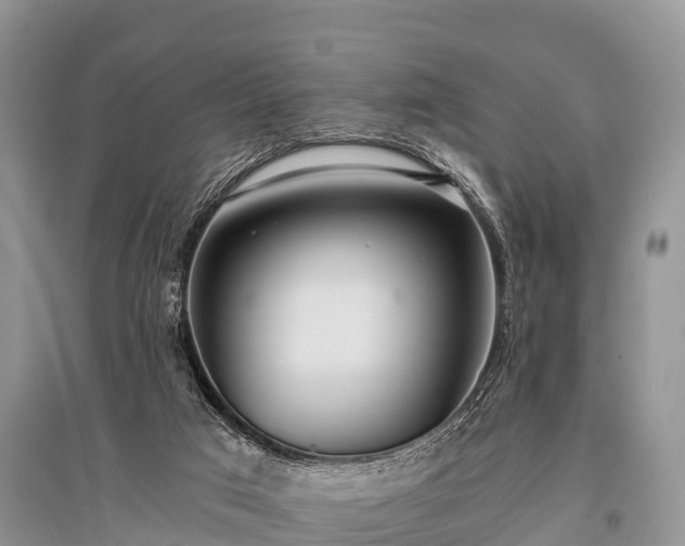 X0000096140017200801251052