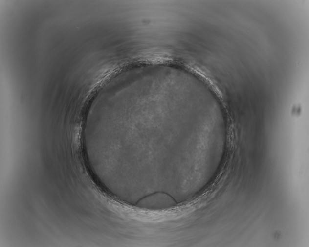 X0000096140018200801251052