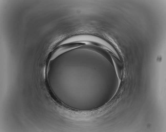 X0000096140019200801251052
