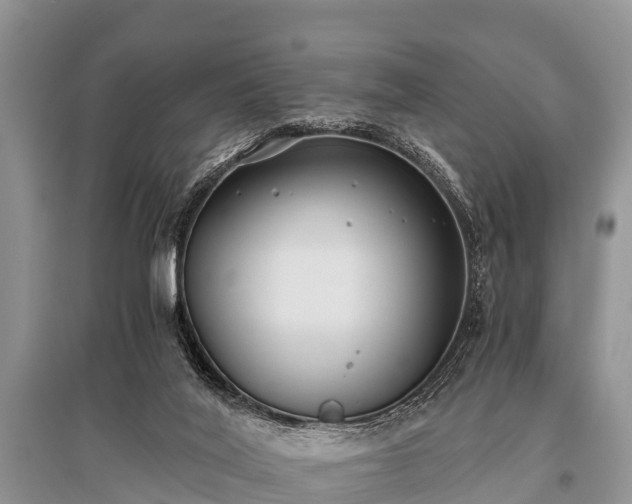 X0000096140020200801251052