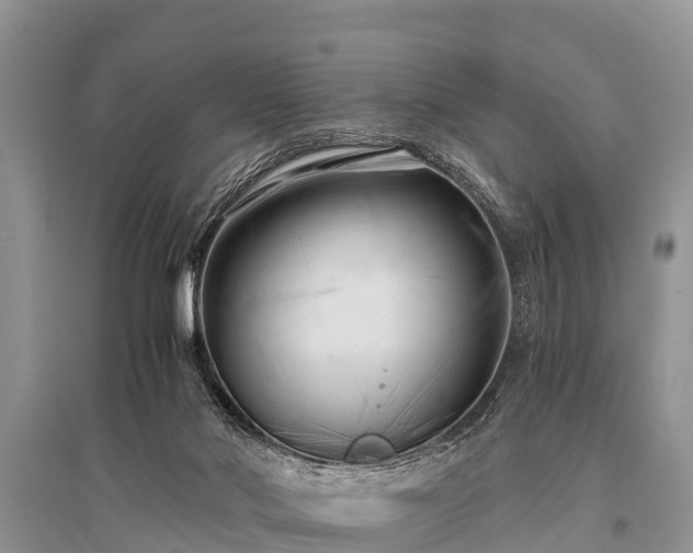X0000096140022200801251052