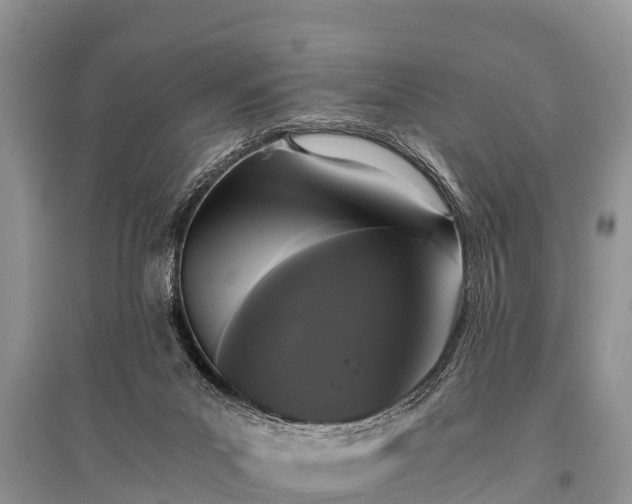 X0000096140023200801251052