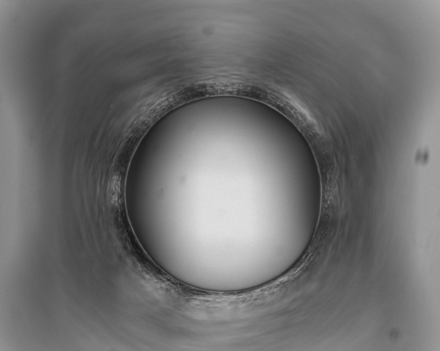 X0000096140025200801251052