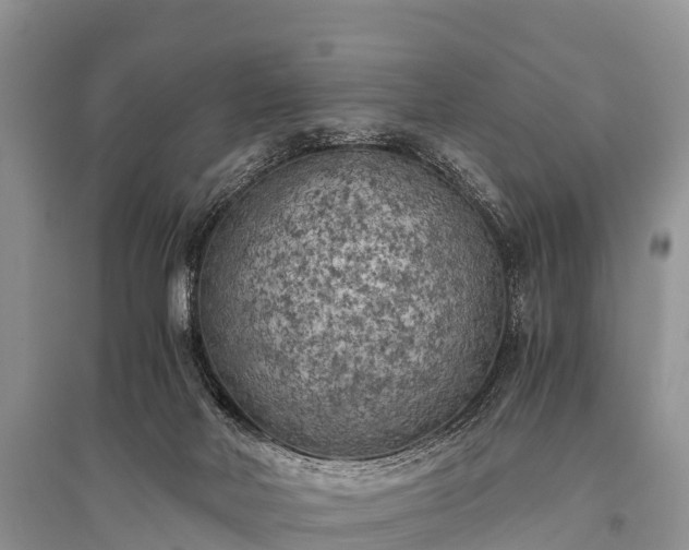 X0000096140026200801251052