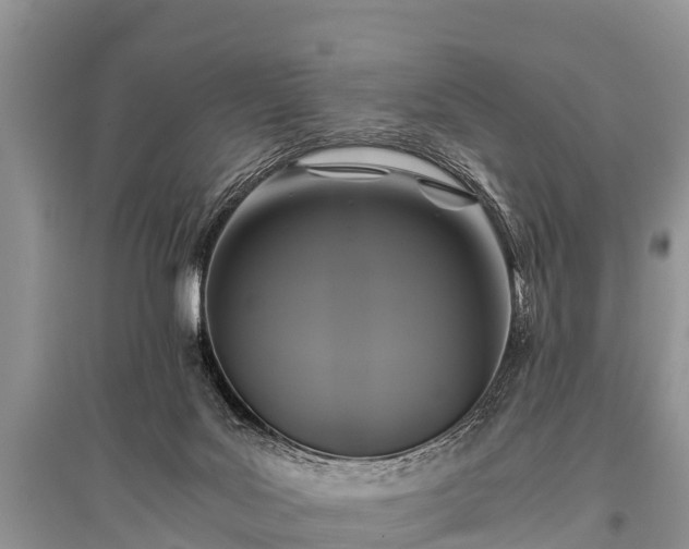 X0000096140027200801251052