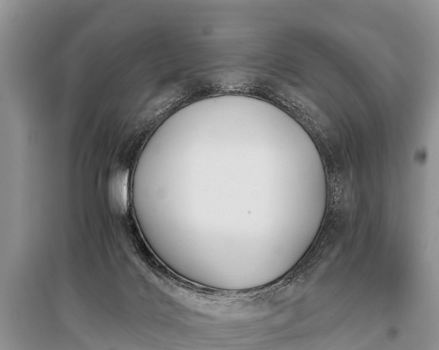 X0000096140028200801251052