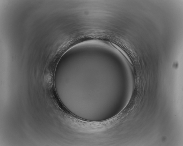 X0000096140031200801251052