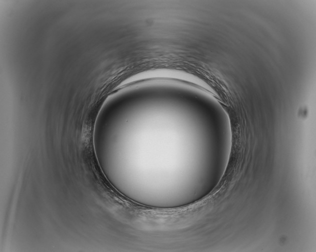X0000096140033200801251052