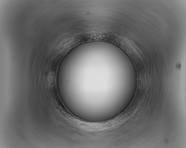 X0000096140034200801251052