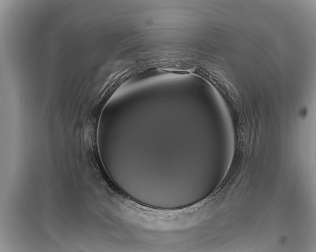 X0000096140035200801251052