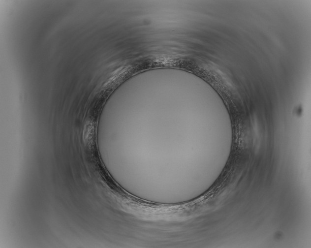 X0000096140036200801251052