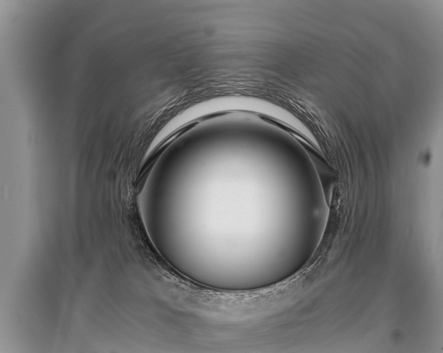X0000096140037200801251052