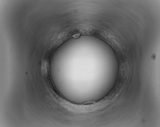 X0000096140038200801251052