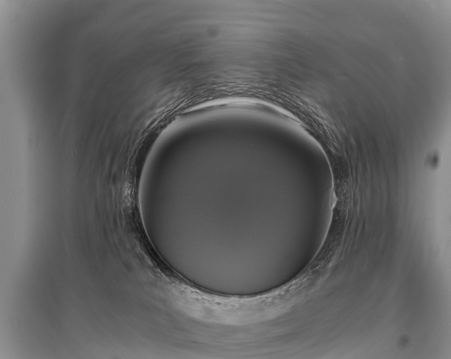 X0000096140039200801251052