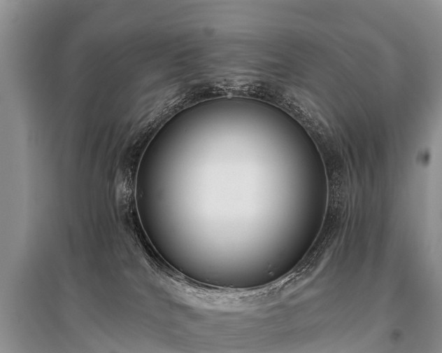 X0000096140040200801251052